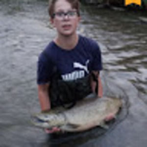 Meet your Posher, Caribou